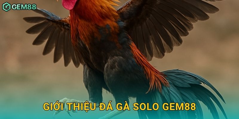 Giới thiệu đá gà solo Gem88