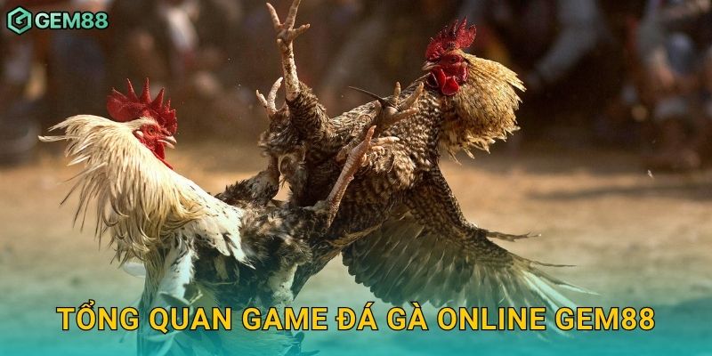 Tổng quan game đá gà online Gem88