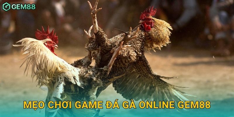 Mẹo chơi game đá gà online Gem88