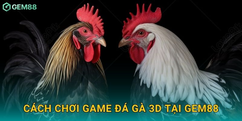 Cách chơi game đá gà 3D tại Gem88