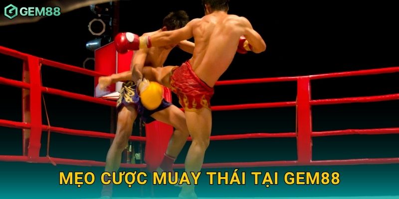 Mẹo cược Muay Thái tại Gem88