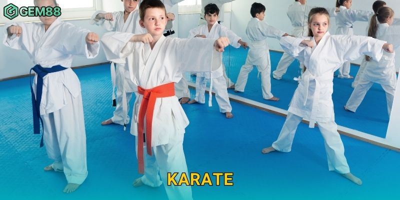 Karate – Tinh thần võ đạo Nhật Bản tại Gem88