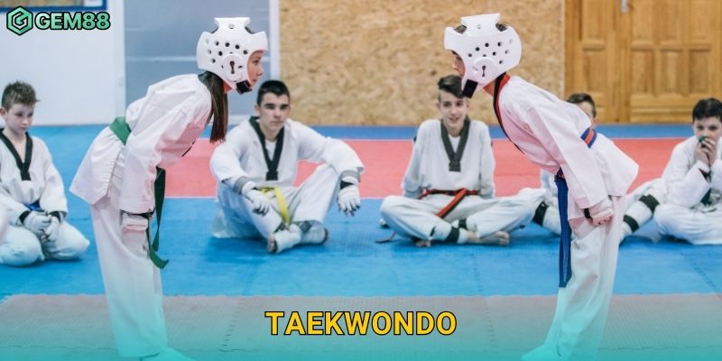 Taekwondo – Tốc độ và kỹ thuật hiện đại tại Gem88