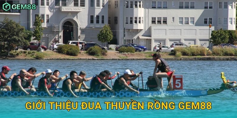 Giới thiệu đua thuyền rồng Gem88